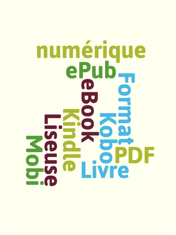 Tout sur les livres numériques